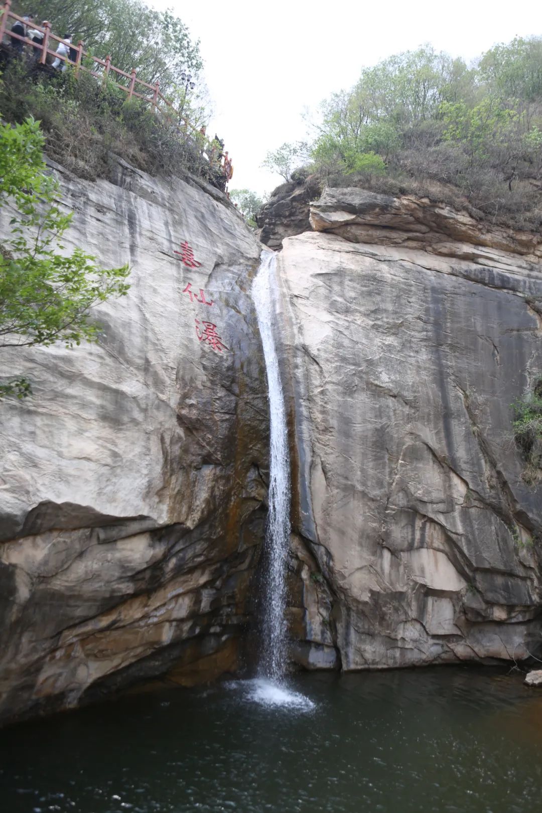 立足当“夏”，觅清凉 